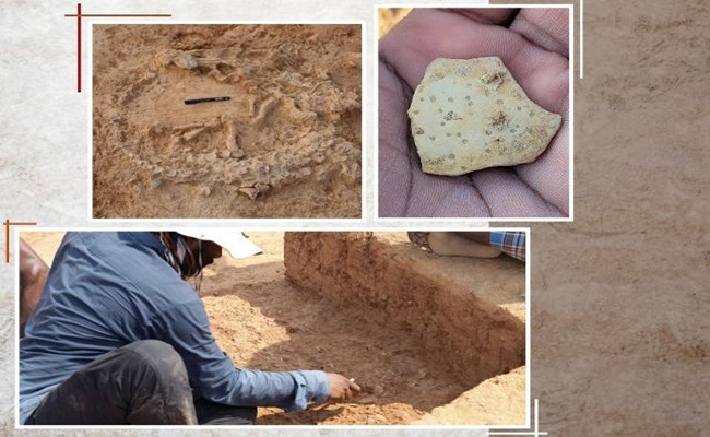 41,000 Year Old Discovery In Andhra Pradesh